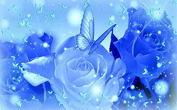 Blue-Rose---.jpg (2560Ã1600) | blue flowers | Pinterest | Blue roses HD wallpaper